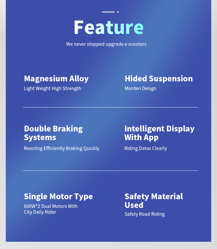 electric scooter feature