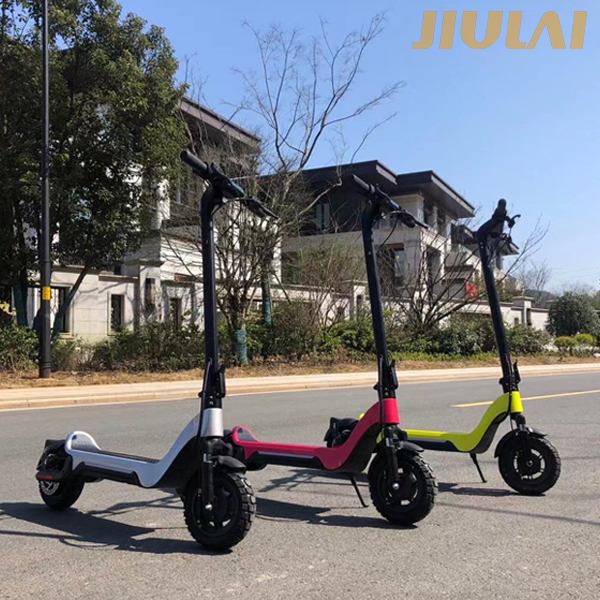 Waterproof 600W 48V 10 Inches Off Road Tire Folding Electric Scooter For Adults