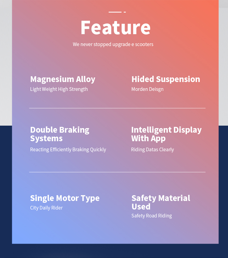 electric scooter for adult